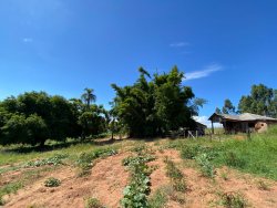 Sítio com 1,5 hectares em Santa Maria 