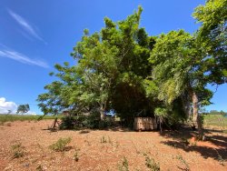 Sítio com 1,5 hectares em Santa Maria 