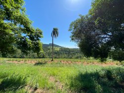 Sítio com 1,5 hectares em Santa Maria 