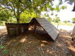 Sítio com 1,5 hectares em Santa Maria 