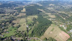 Área de terra com 63 hectares na região Central de Lomba Grande 