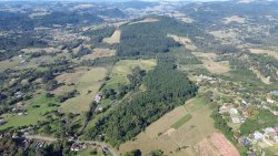 Área de terra com 63 hectares na região Central de Lomba Grande 