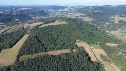 Área de terra com 63 hectares na região Central de Lomba Grande 