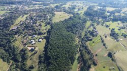 Área de terra com 63 hectares na região Central de Lomba Grande 