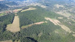 Área de terra com 63 hectares na região Central de Lomba Grande 