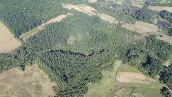 Área de terra com 63 hectares na região Central de Lomba Grande 