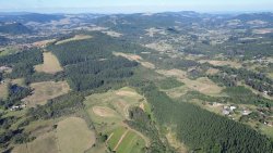 Área de terra com 63 hectares na região Central de Lomba Grande 