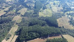 Área de terra com 63 hectares na região Central de Lomba Grande 