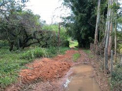 Sítio com 17.533m² no bairro Lomba Grande 