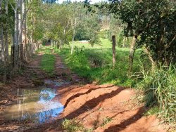 Sítio com 17.533m² no bairro Lomba Grande 
