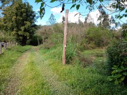 Sítio com 17.533m² no bairro Lomba Grande 