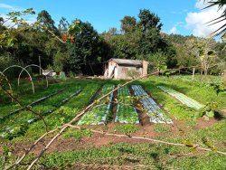 Sítio com 17.533m² no bairro Lomba Grande 