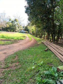 Sítio com 17.533m² no bairro Lomba Grande 