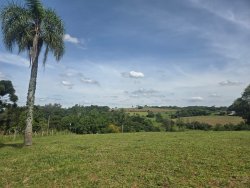 Sítio de esquina com 1,00 hectare no bairro Lomba Grande  