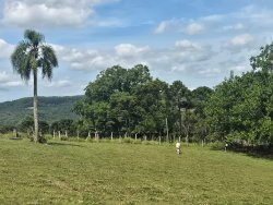 Sítio de esquina com 1,00 hectare no bairro Lomba Grande  