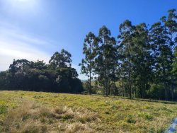 Linda área de terra em Lomba Grande 
