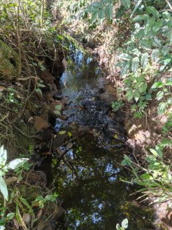 Linda área de terra em Lomba Grande 