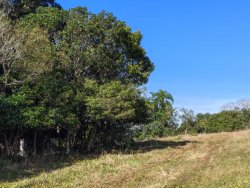 Linda área de terra em Lomba Grande 