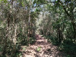 Linda área de terra em Lomba Grande 