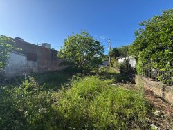 Terreno com 300m² no bairro Liberdade 