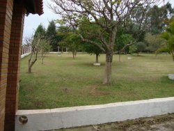 Lindo sitio de 2,00 hectares 