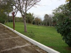 Lindo sitio de 2,00 hectares 