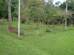 Lindo sitio de 2,00 hectares 