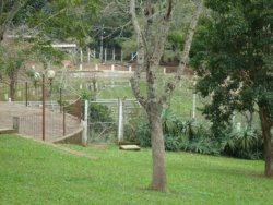 Lindo sitio de 2,00 hectares 