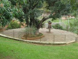 Lindo sitio de 2,00 hectares 