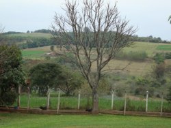 Lindo sitio de 2,00 hectares 