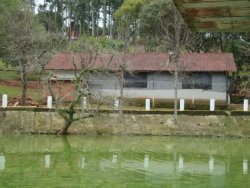 Lindo sitio de 2,00 hectares 