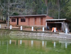 Lindo sitio de 2,00 hectares 