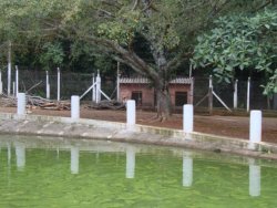 Lindo sitio de 2,00 hectares 
