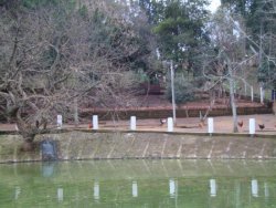 Lindo sitio de 2,00 hectares 