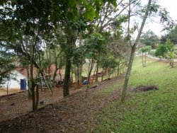 Lindo sitio de 2,00 hectares 