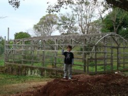 Lindo sitio de 2,00 hectares 
