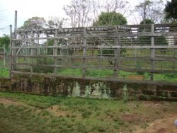 Lindo sitio de 2,00 hectares 