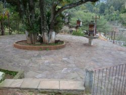 Lindo sitio de 2,00 hectares 