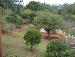 Lindo sitio de 2,00 hectares 