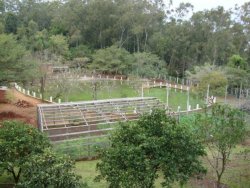 Lindo sitio de 2,00 hectares 
