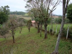 Lindo sitio de 2,00 hectares 