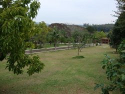 Lindo sitio de 2,00 hectares 