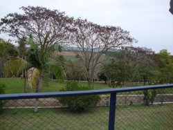 Lindo sitio de 2,00 hectares 