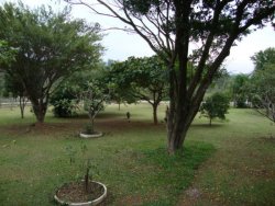 Lindo sitio de 2,00 hectares 