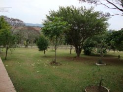 Lindo sitio de 2,00 hectares 