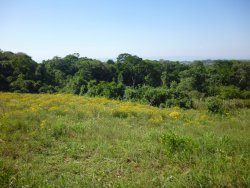 Sitio de 7,00 hectares 