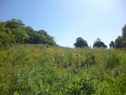Sitio de 7,00 hectares 