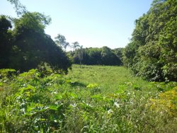 Sitio de 7,00 hectares 