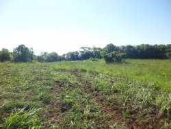 Sitio de 7,00 hectares 