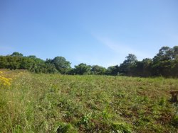Sitio de 7,00 hectares 